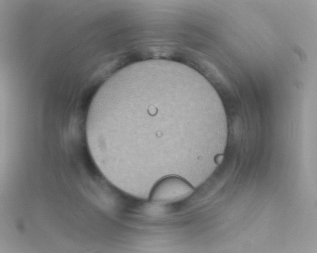 X0000115410218200911241334