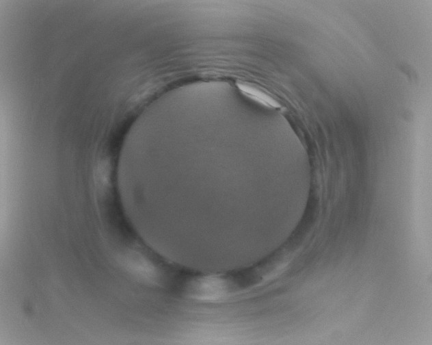 X0000115410219200911241334