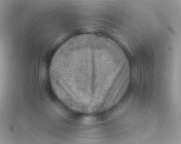 X0000115410220200911241334