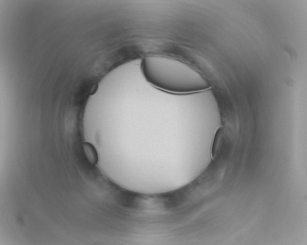 X0000115410221200911241334