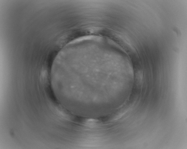 X0000115410222200911241334