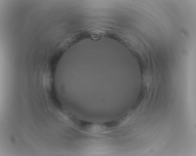 X0000115410223200911241334