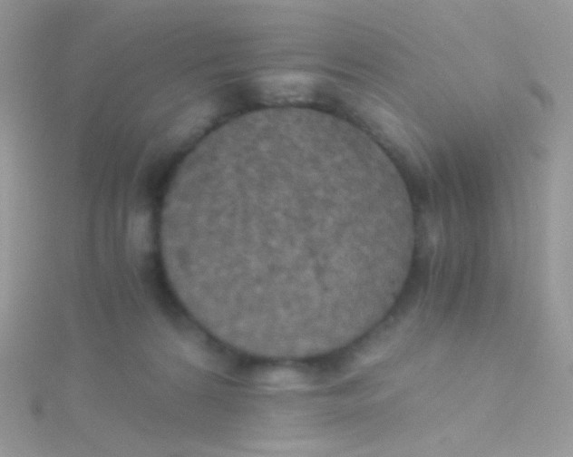 X0000115410224200911241334