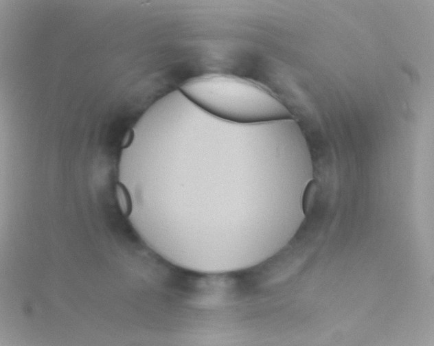 X0000115410225200911241334