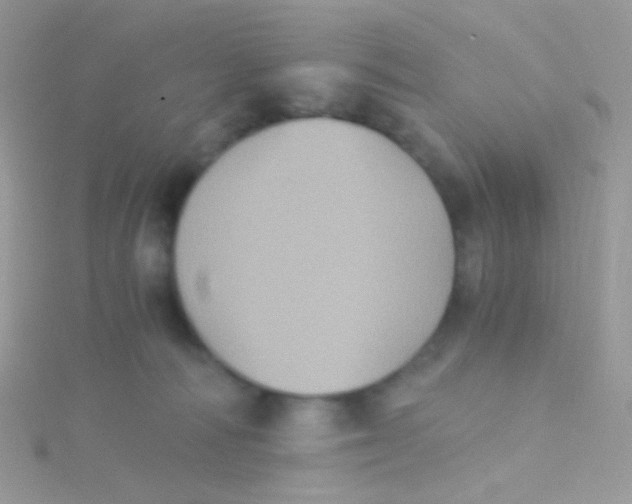 X0000115410226200911241334