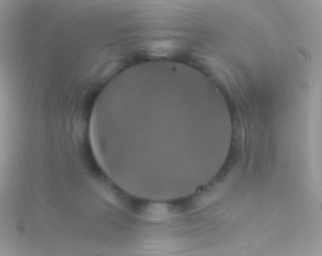 X0000115410227200911241334