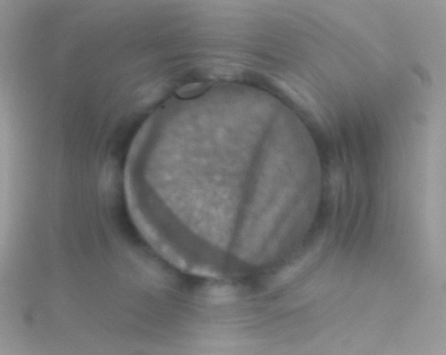 X0000115410228200911241334