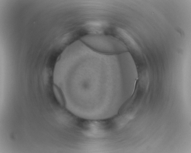 X0000115410229200911241334