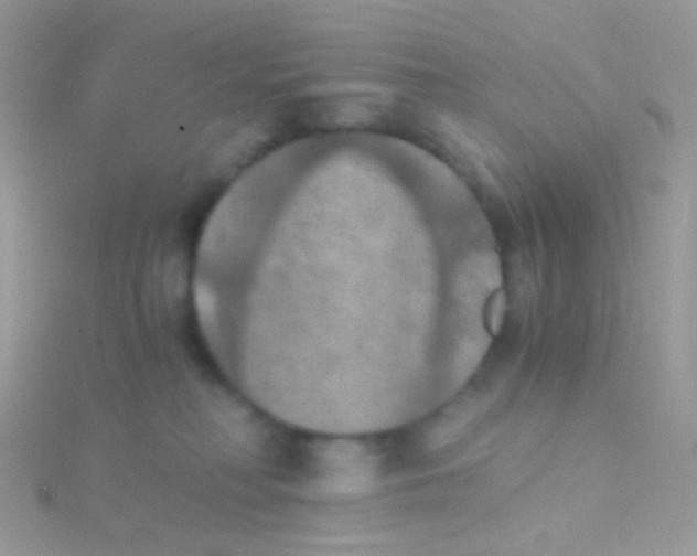 X0000115410230200911241334