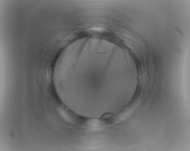 X0000115410231200911241334