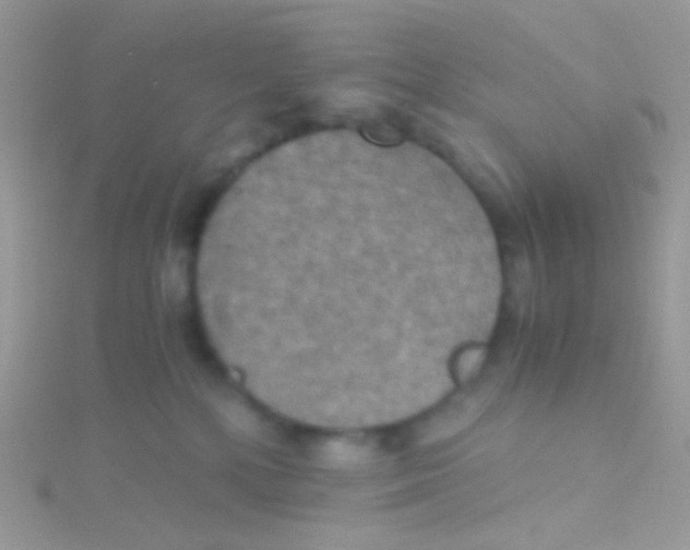 X0000115410232200911241334