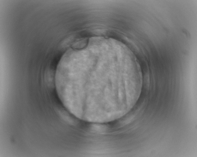 X0000115410234200911241334