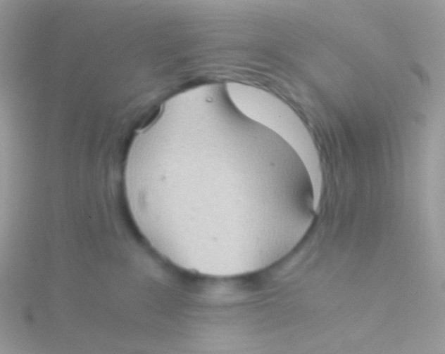 X0000115410235200911241334