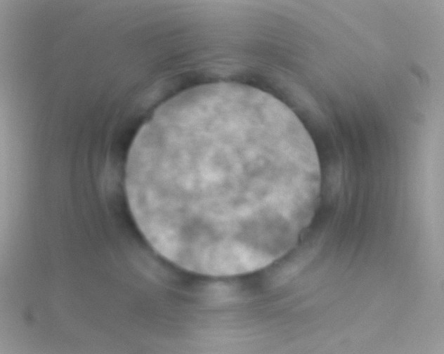 X0000115410236200911241334