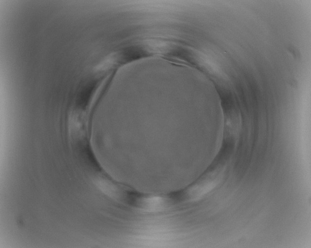 X0000115410237200911241334