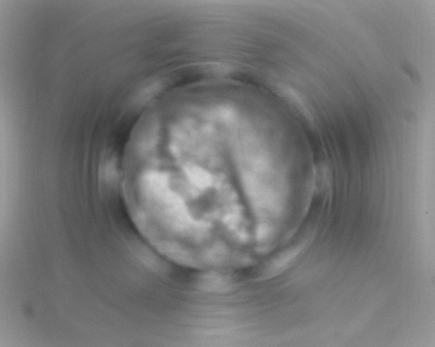 X0000115410238200911241334