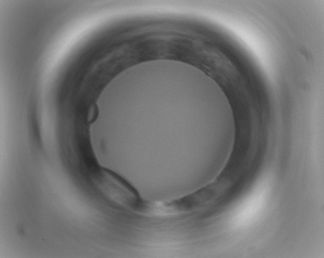 X0000115410239200911241334