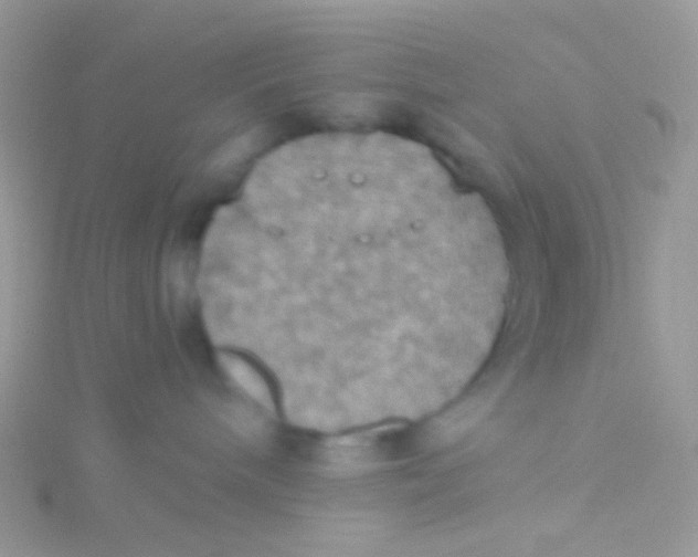 X0000115410240200911241334