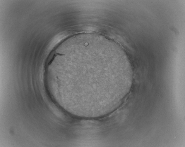 X0000115410242200911241333