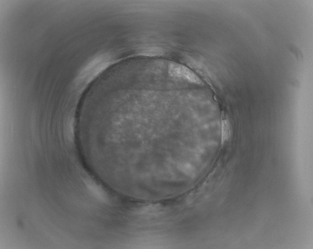 X0000115410243200911241333