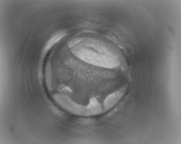 X0000115410245200911241333