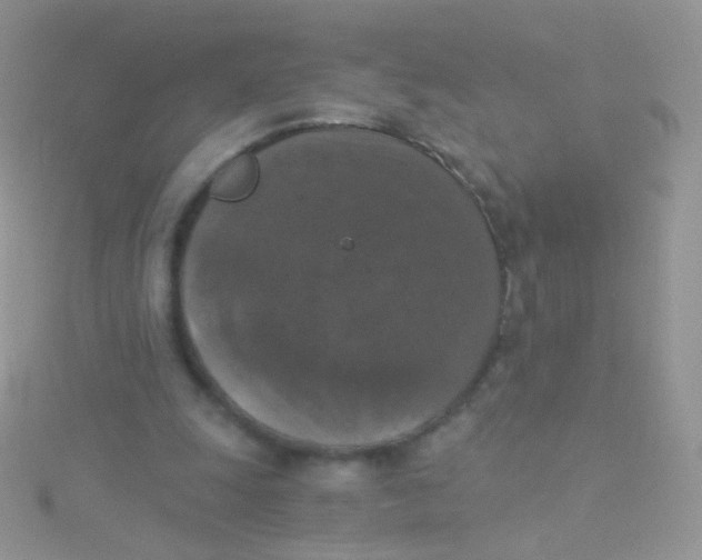 X0000115410247200911241333