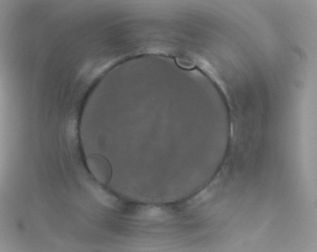 X0000115410249200911241333