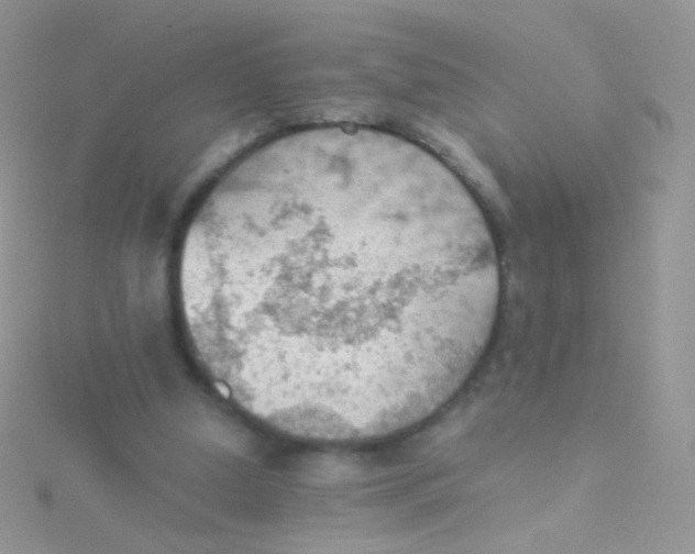 X0000115410250200911241333