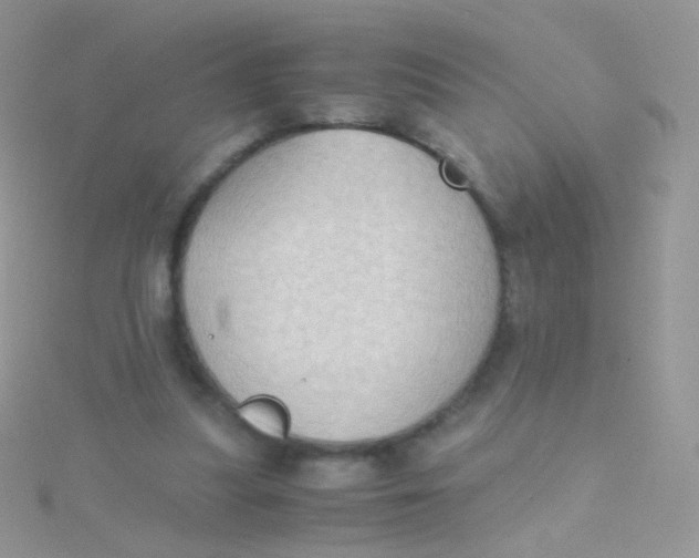 X0000115410251200911241333