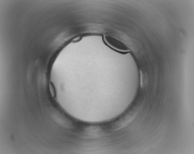 X0000115410252200911241333