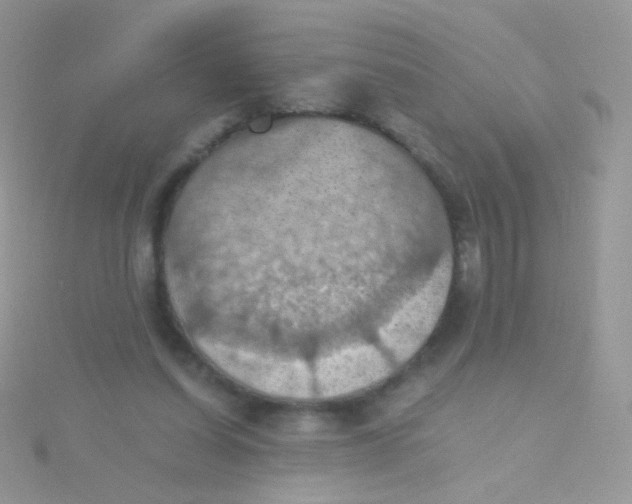 X0000115410254200911241333