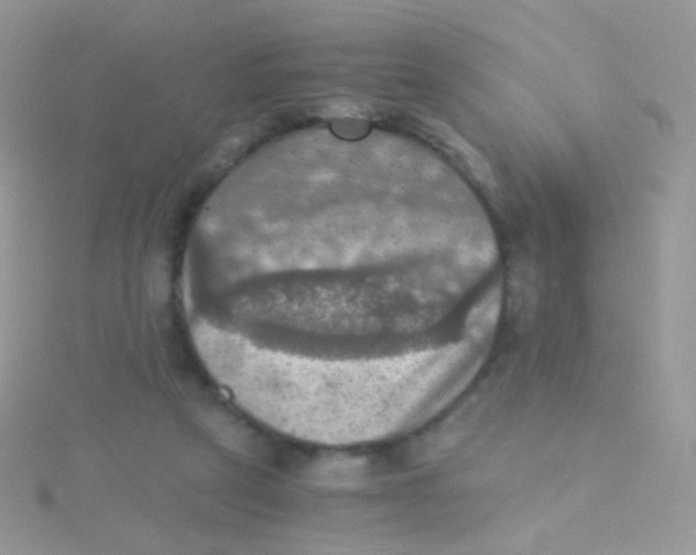 X0000115410257200911241333