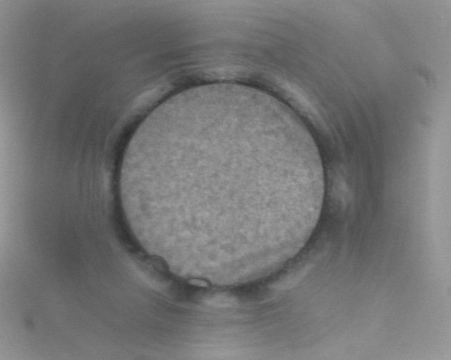 X0000115410258200911241333