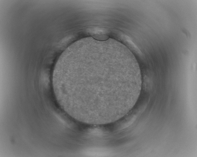 X0000115410259200911241334