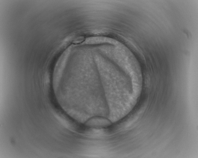 X0000115410260200911241334