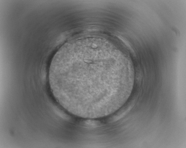 X0000115410261200911241334