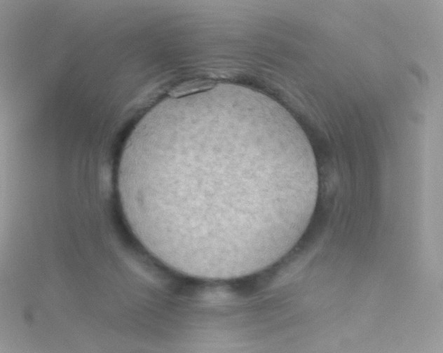 X0000115410262200911241334