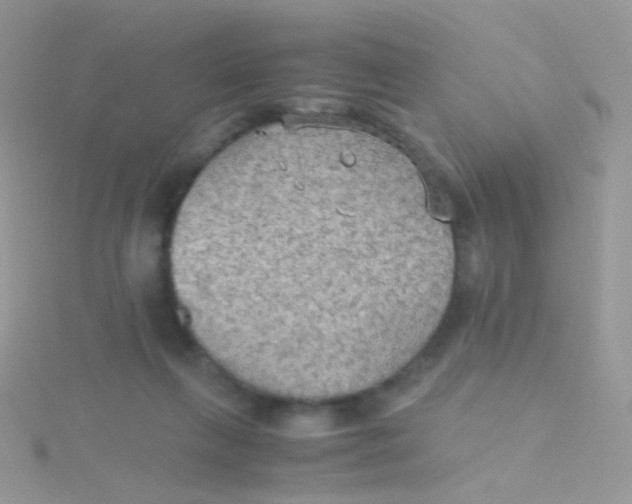 X0000115410263200911241334