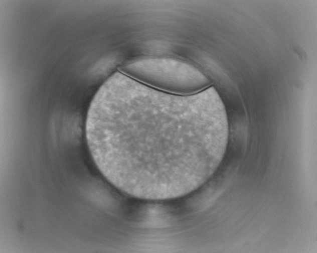 X0000115410264200911241334