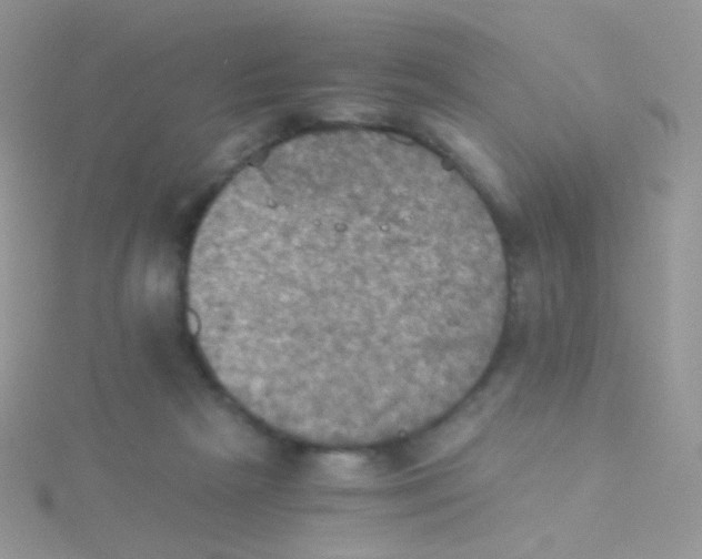 X0000115410265200911241334