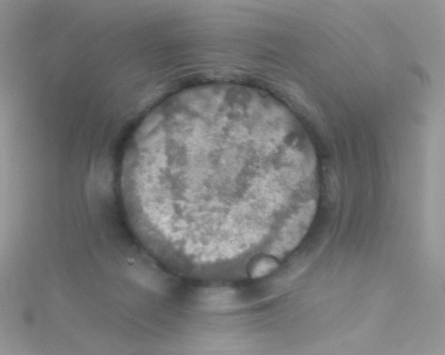 X0000115410266200911241334