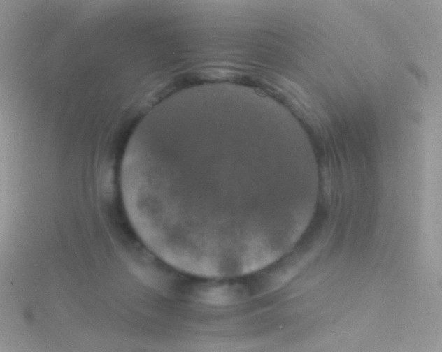 X0000115410267200911241334