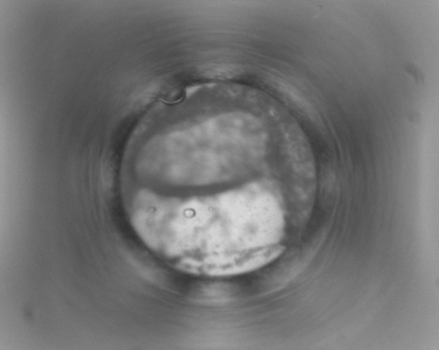 X0000115410268200911241334