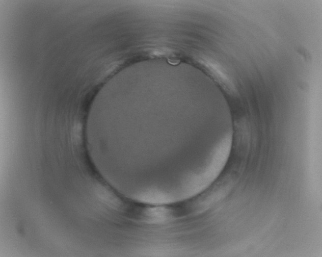 X0000115410269200911241334