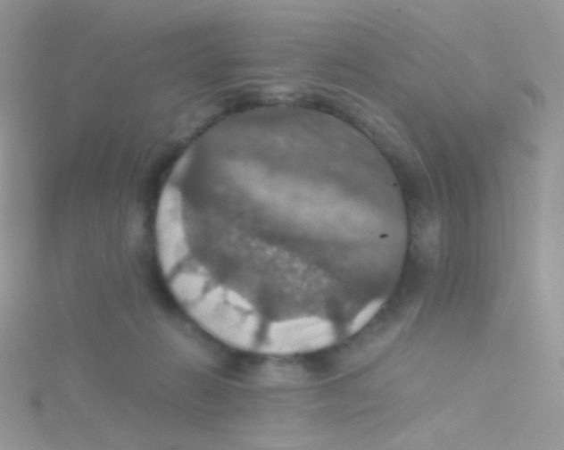 X0000115410270200911241334