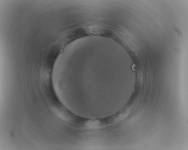 X0000115410271200911241334