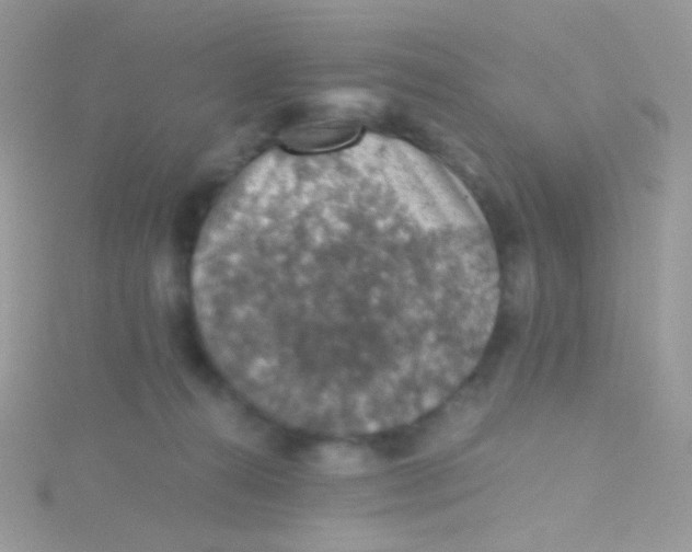 X0000115410272200911241334