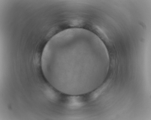 X0000115410273200911241334