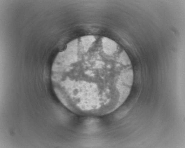 X0000115410274200911241334