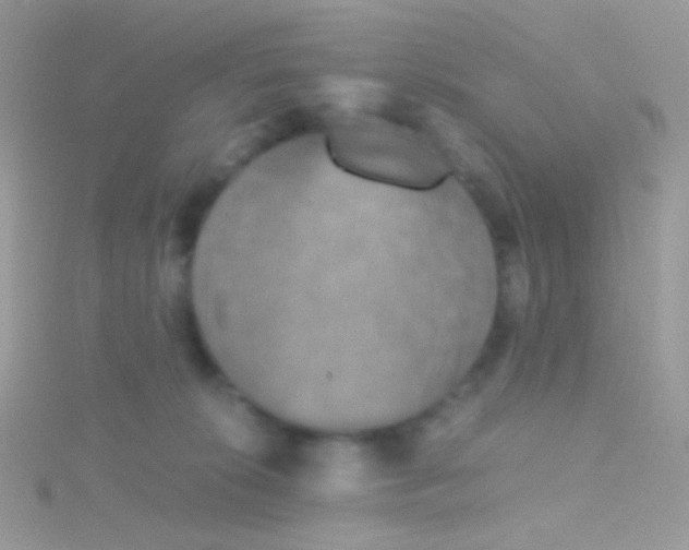 X0000115410276200911241334